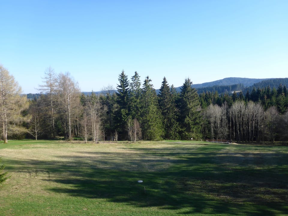 Ausblick vom Balkon Hotel Haus Breitnau