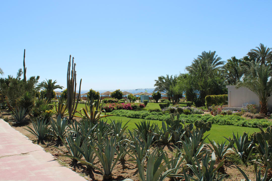 Gartenanlage Fort Arabesque Resort, Spa & Villas