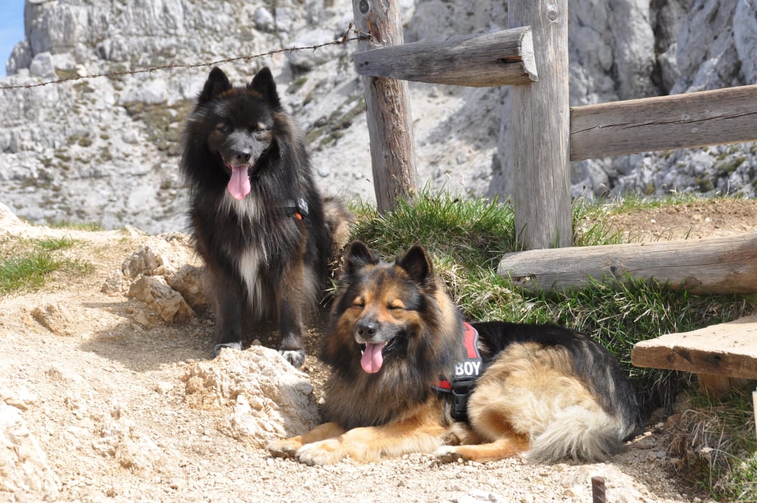 Endlich den Gipfel erreicht Familien Resort Petschnighof - Familotel Kärnten