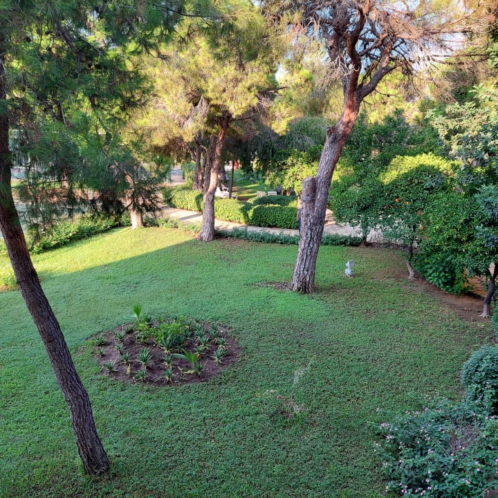 Gartenanlage Asteria Collection Side