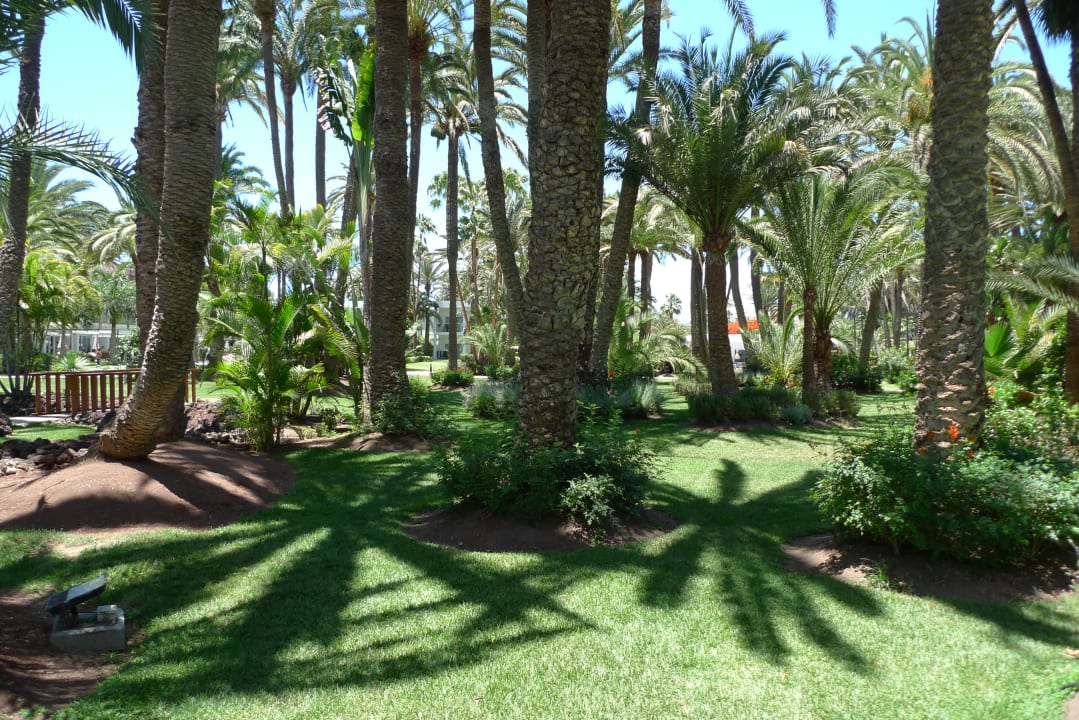 Außenansicht Hotel Riu Palace Oasis