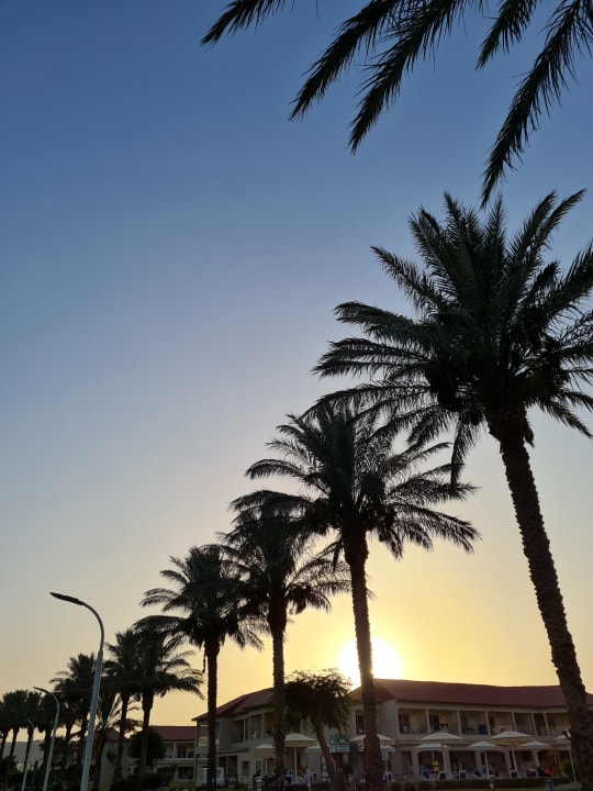 Sonstiges Pickalbatros Aqua Blu Resort - Sharm El Sheikh