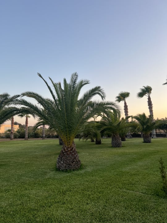 Gartenanlage Sovereign Beach Hotel