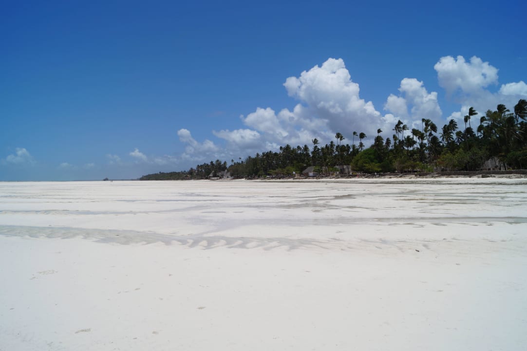 Schöner Strand TUI Blue Bahari Zanzibar