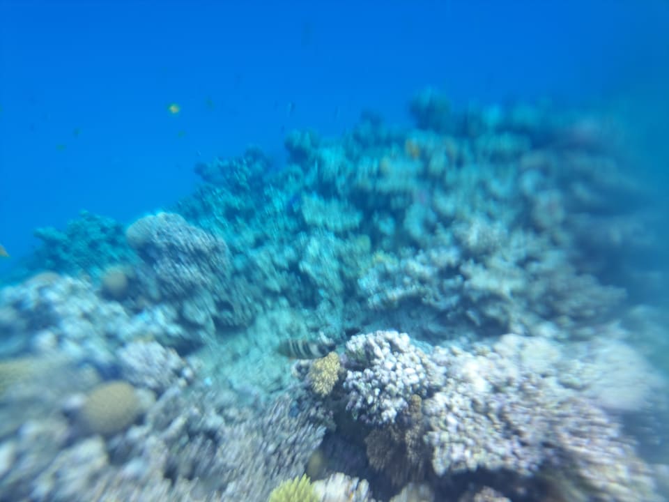 Sport & Freizeit Titanic Beach Spa & Aqua Park