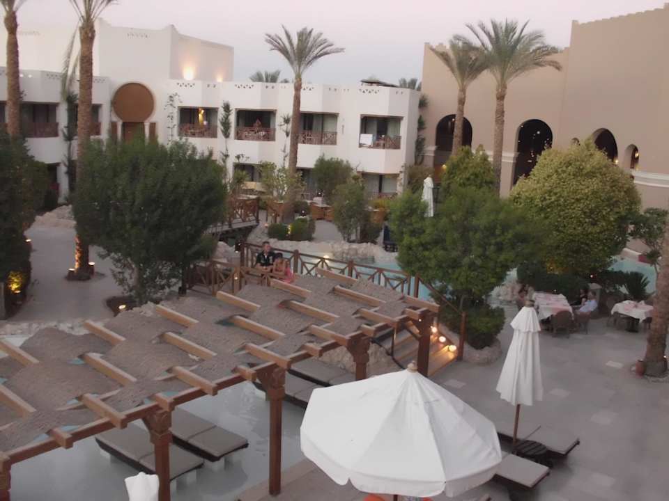 Liegen im Pool Ghazala Gardens