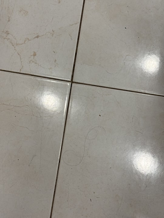 Zimmer Pine Beach Belek