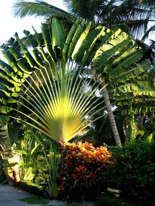 Ogród Grand Palladium Select Bávaro Resort & Spa