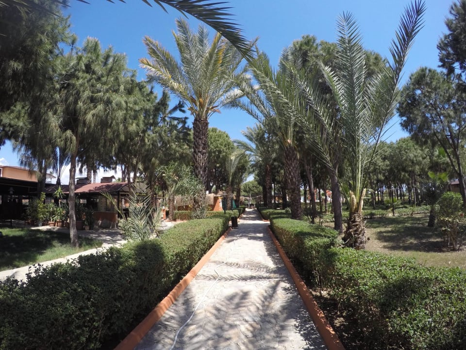 Gartenweg zur Poolbar Club Turtas Beach Hotel