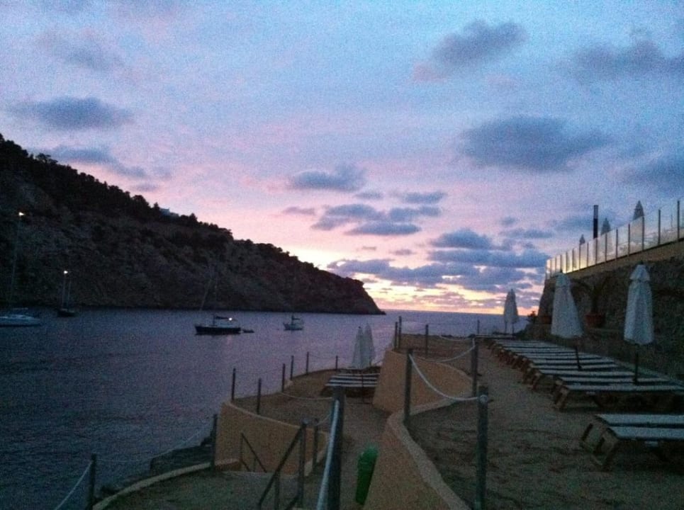 Hotelstrand mit Liegen  Palladium Hotel Cala LLonga - Adults only