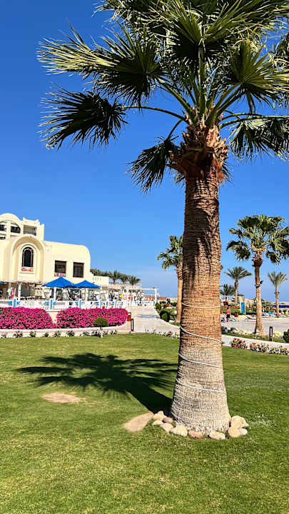 Außenansicht Gravity Hotel & Aquapark Sahl Hasheesh