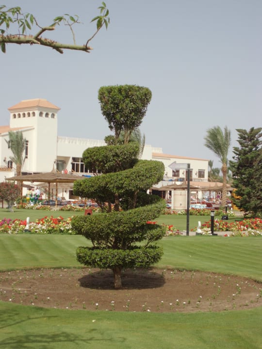 Künstlerisch Pickalbatros Dana Beach Resort - Hurghada
