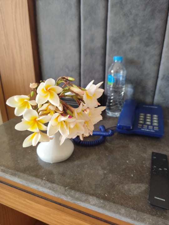 Zimmer Serenity Alpha Beach