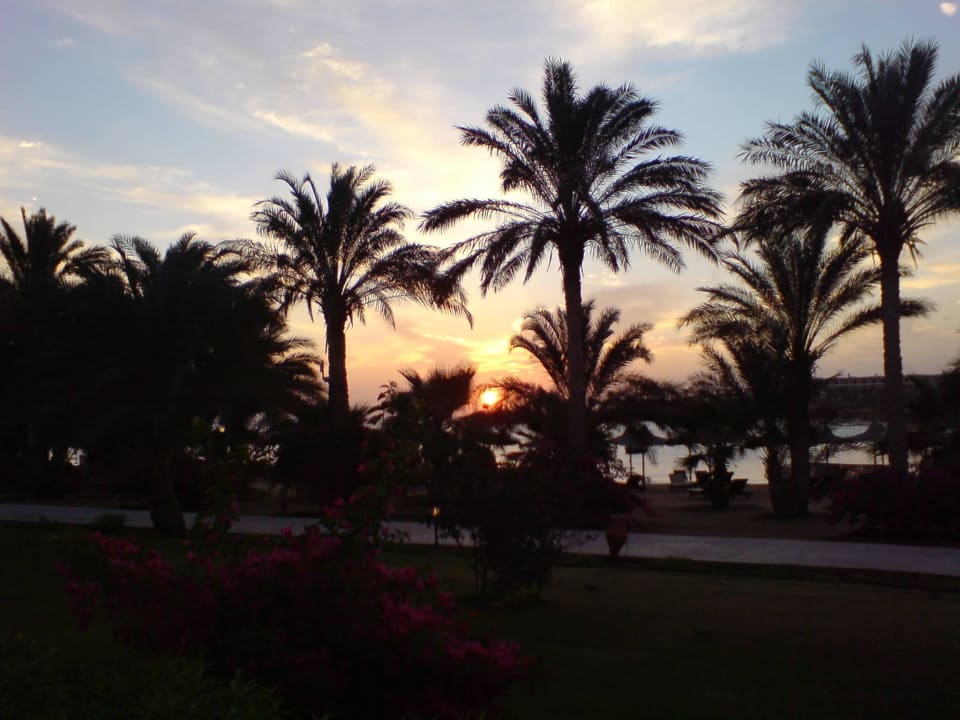 Ausblick aus Zimmer Sonnenaufgang Brayka Bay Resort