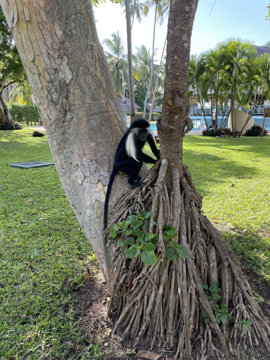 Sonstiges Neptune Palm Beach Boutique Resort & Spa