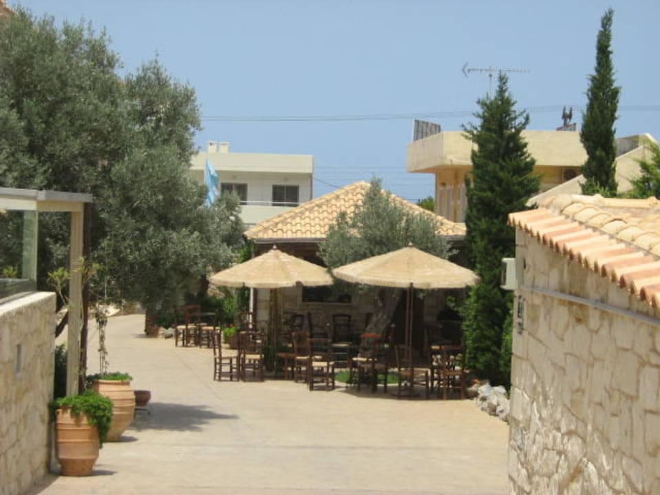 Kleines Bistro Cactus Royal