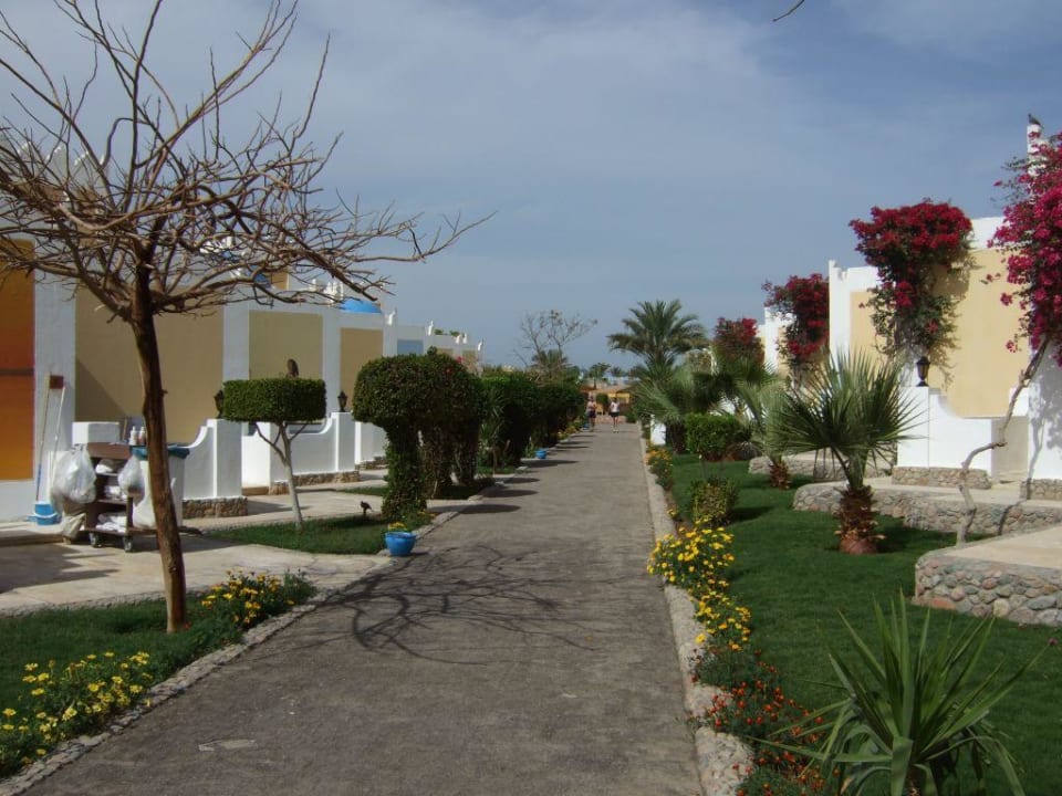 Gartenanlage Mirage Bay Resort & Aqua Park