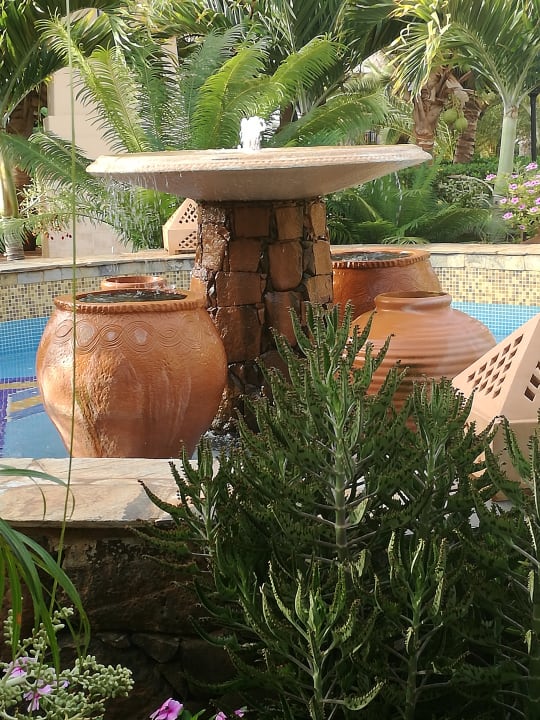 Gartenanlage Hotel Riu Touareg