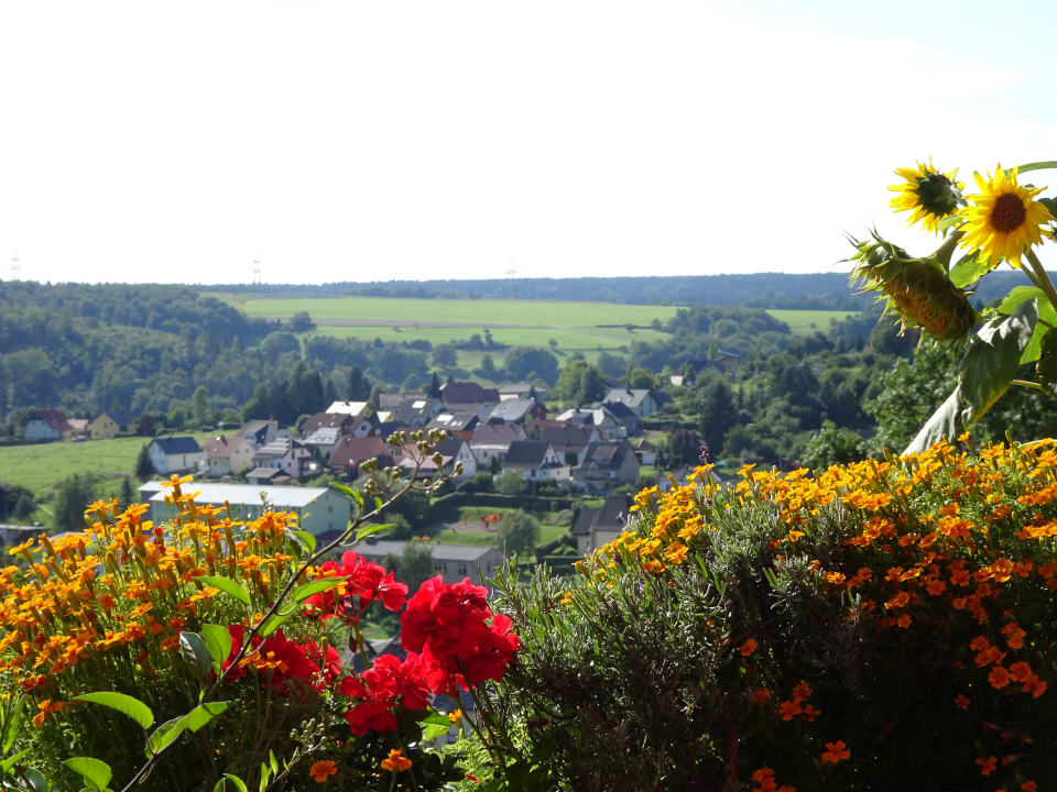 Ausblick Ferienwohnung Panorama