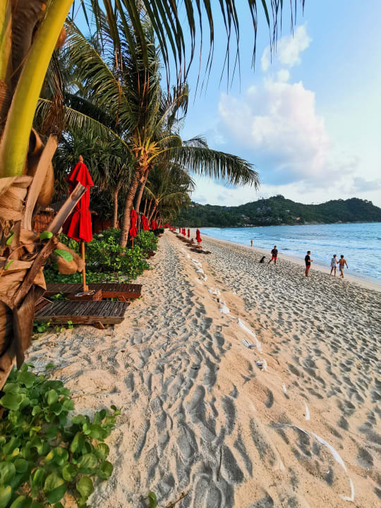 Strand Anantara Rasananda Koh Phangan -  Villas