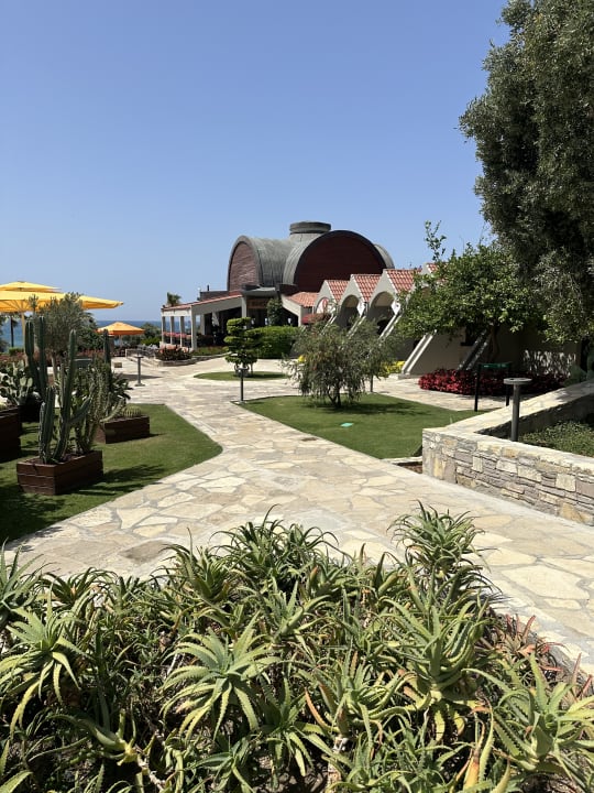 Gartenanlage Arum Barut Collection