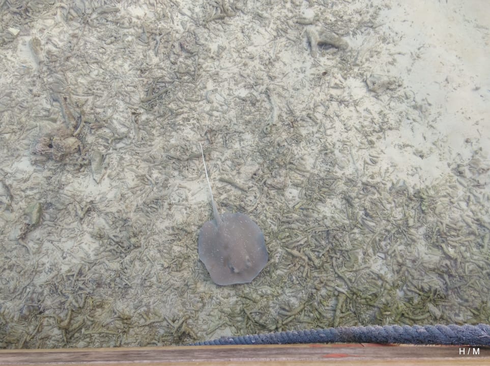 Sonstiges Embudu Village