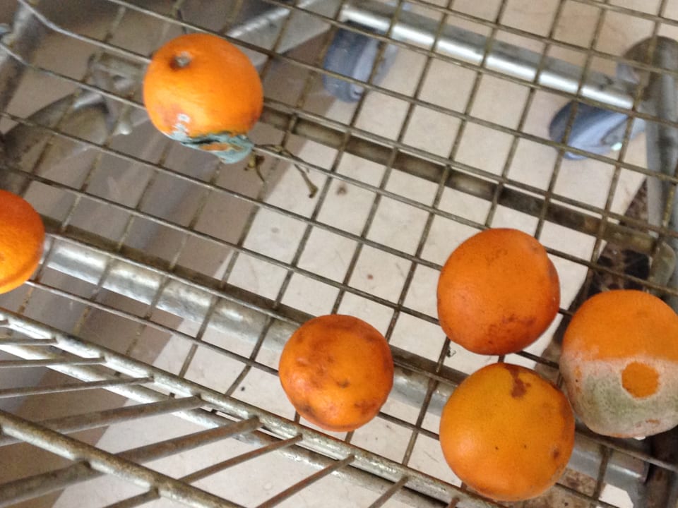 Restaurant Diamond Excellence Resort & Spa