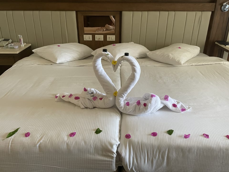 Zimmer Serenity Alpha Beach