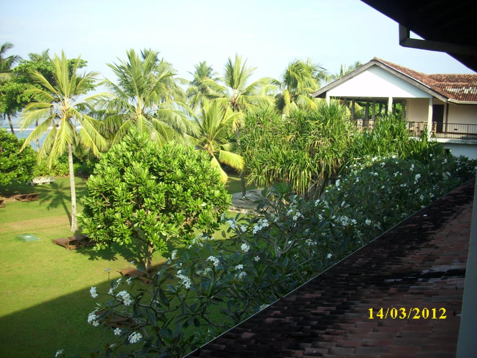 Vom Balkon Earl’s Reef Beruwala