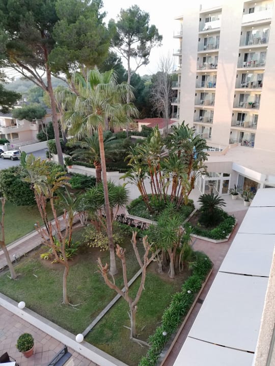 Ausblick Grupotel Orient