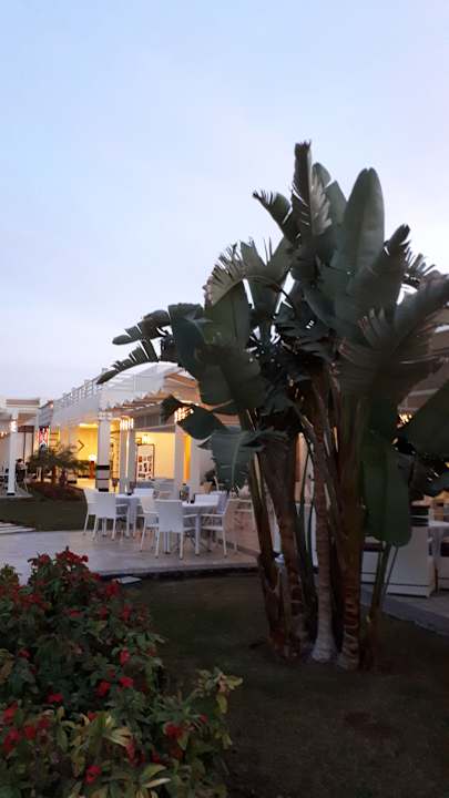 Gartenanlage Pickalbatros Dana Beach Resort - Hurghada