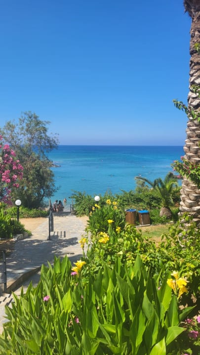 Gartenanlage Crystal Springs Beach Hotel
