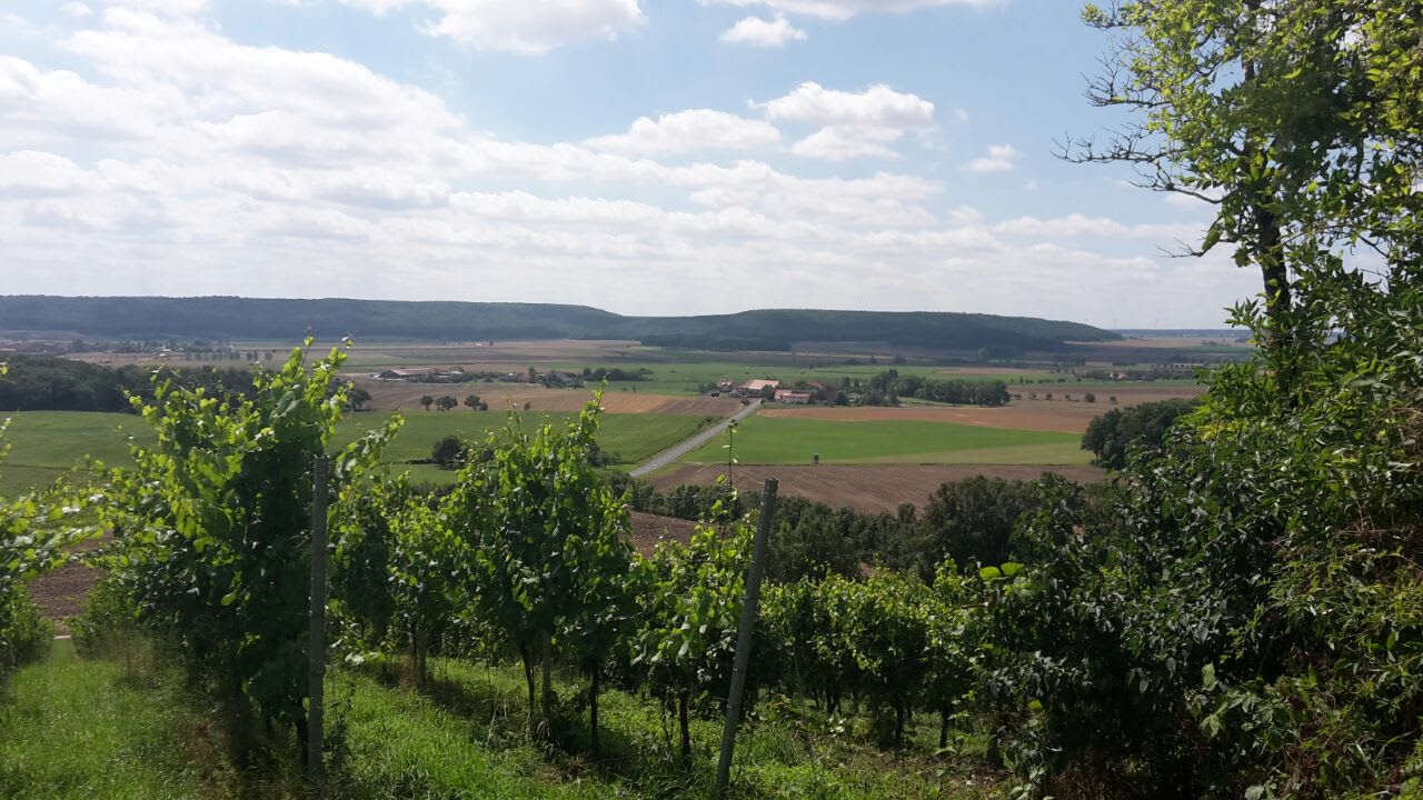Ausblick Winzer-Bauernhof Felbinger