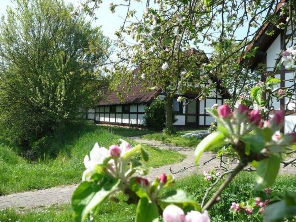 Deichgraf 86 Feriendorf Altes Land