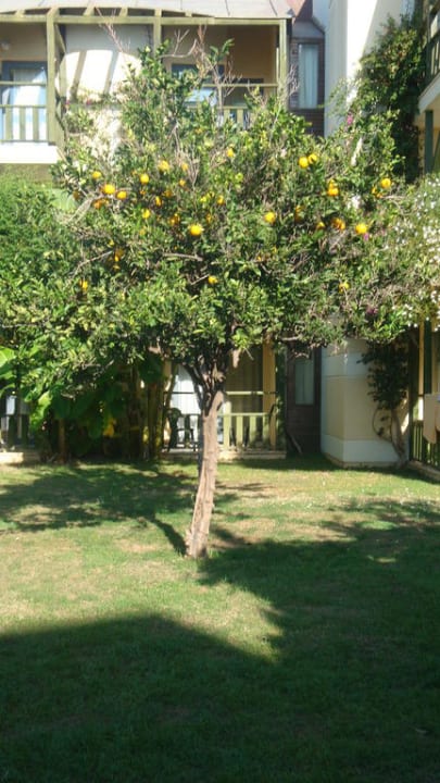 Hotel Limak Limra Limak Limra Hotel & Resort