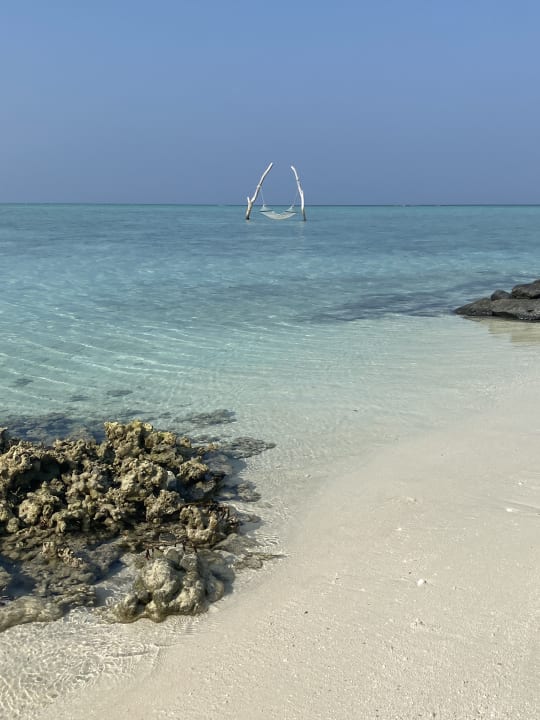 Strand Summer Island Maldives