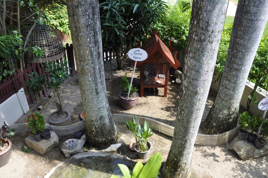 Streichel Zoo Santiburi Koh Samui