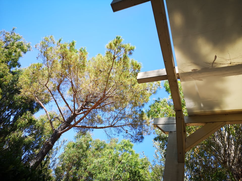 Gartenanlage Camping & Bungalows Free Time