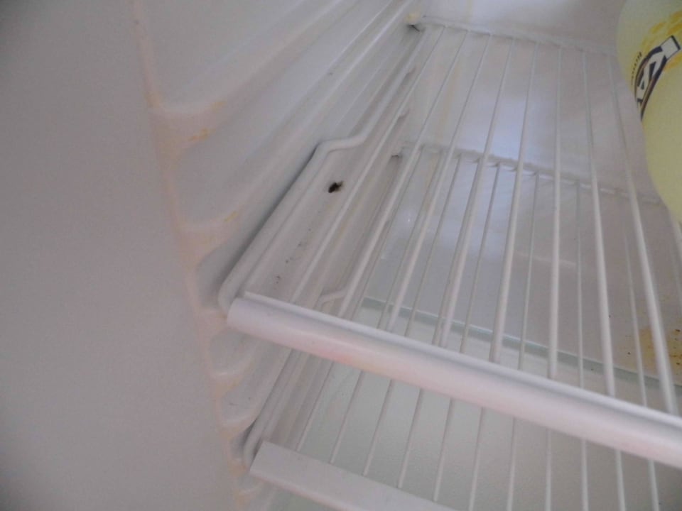 Kühlschrank FERGUS Club Europa