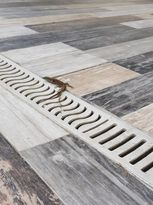 Sonstiges Castival Hotel