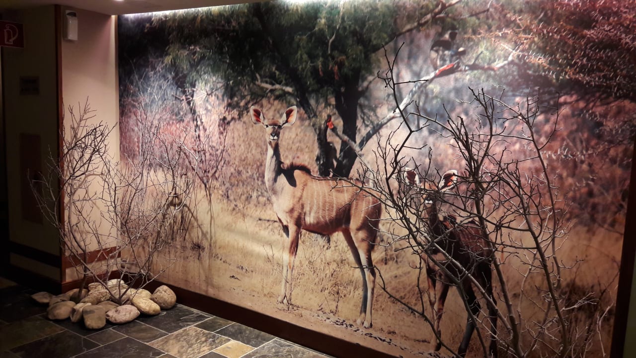 Gegenüber vom Aufzug Park-Hotel Hagenbeck