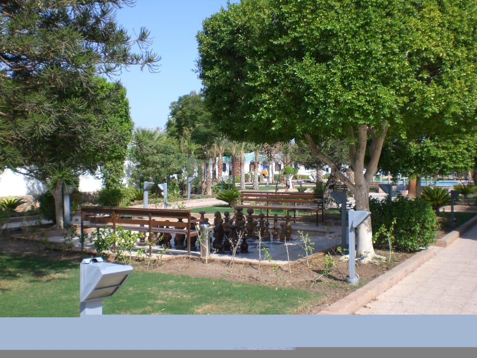 Schach Matt Ghazala Beach