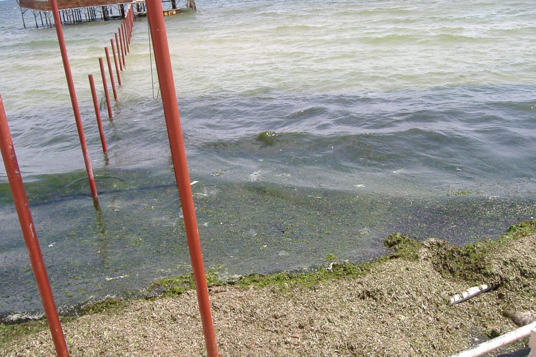 Viel Dreck Alassio Hotel and Thalasso