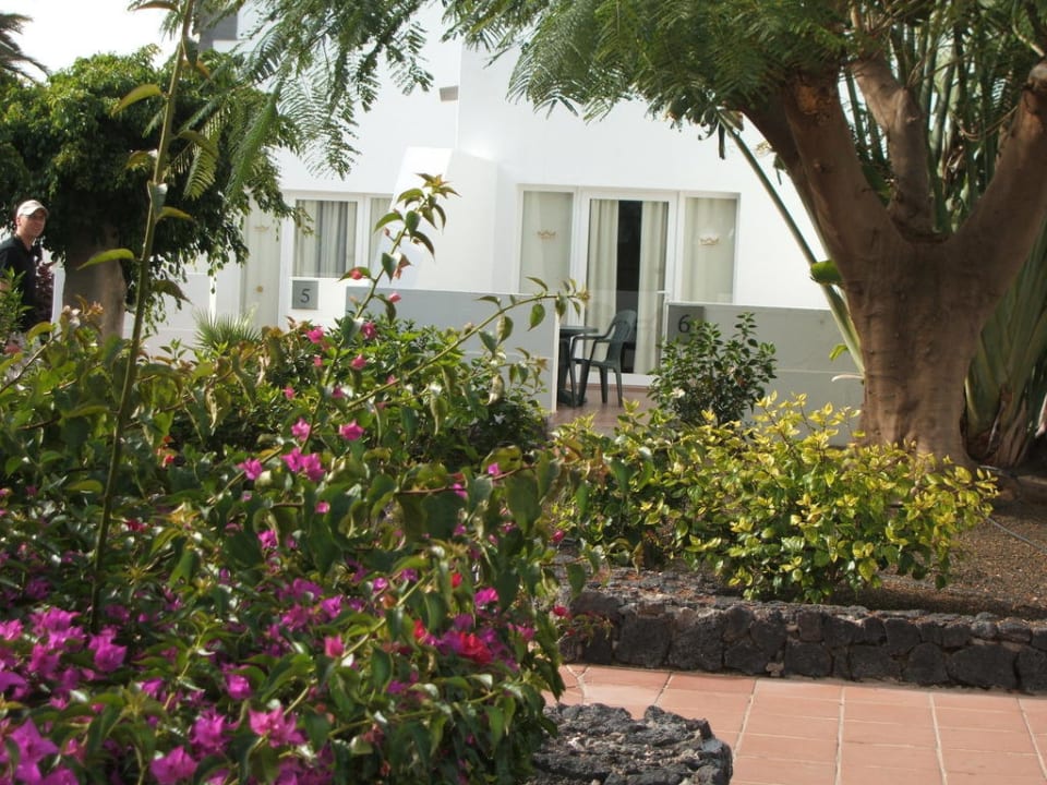 Blühende Hotelanlage Hotel Riu Paraiso Lanzarote