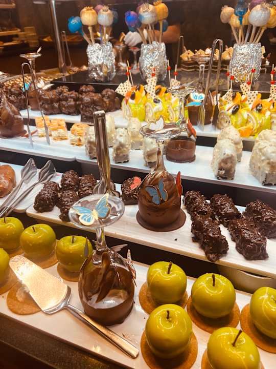 Gastro Seashell Vega