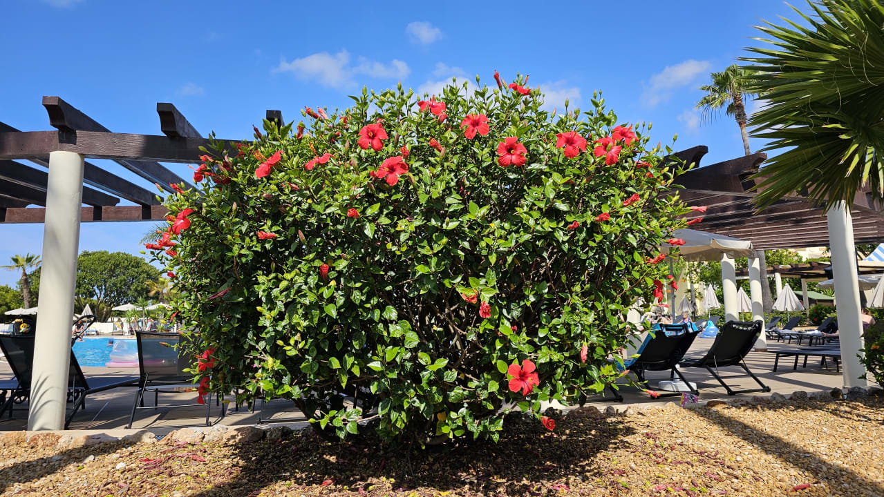 Gartenanlage AP Adriana Beach Resort