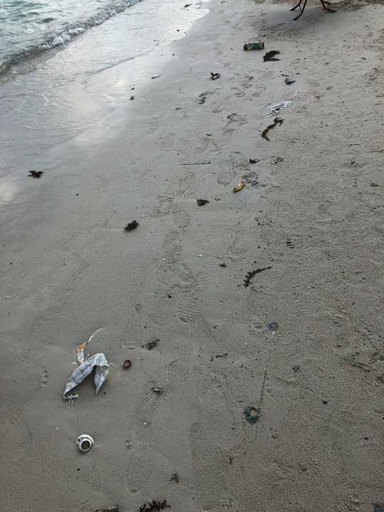 Strand Hotel Al's Hut