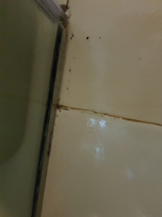 Zimmer Punta Cana Princess All Suites Resort & Spa