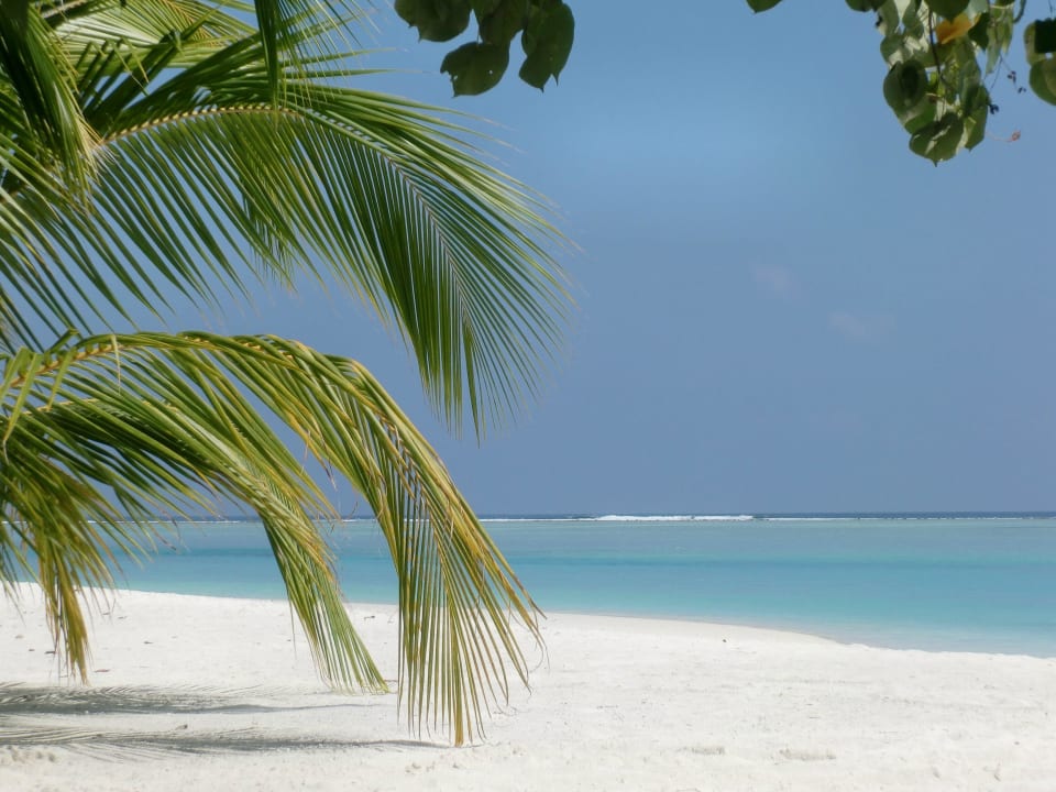 Hotel Meeru Island Resort Meeru Maldives Resort Island