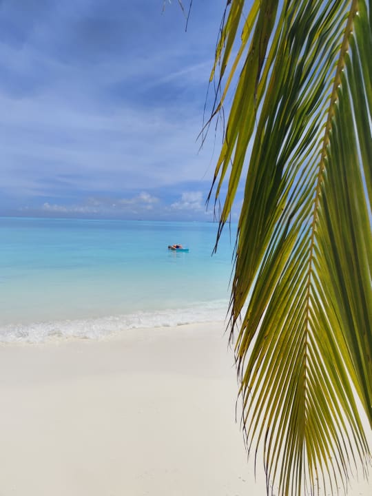 Strand Meeru Maldives Resort Island